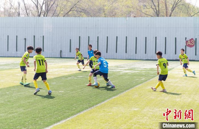 2024年鲁能杯全国少儿足球邀请赛天津站圆满落幕